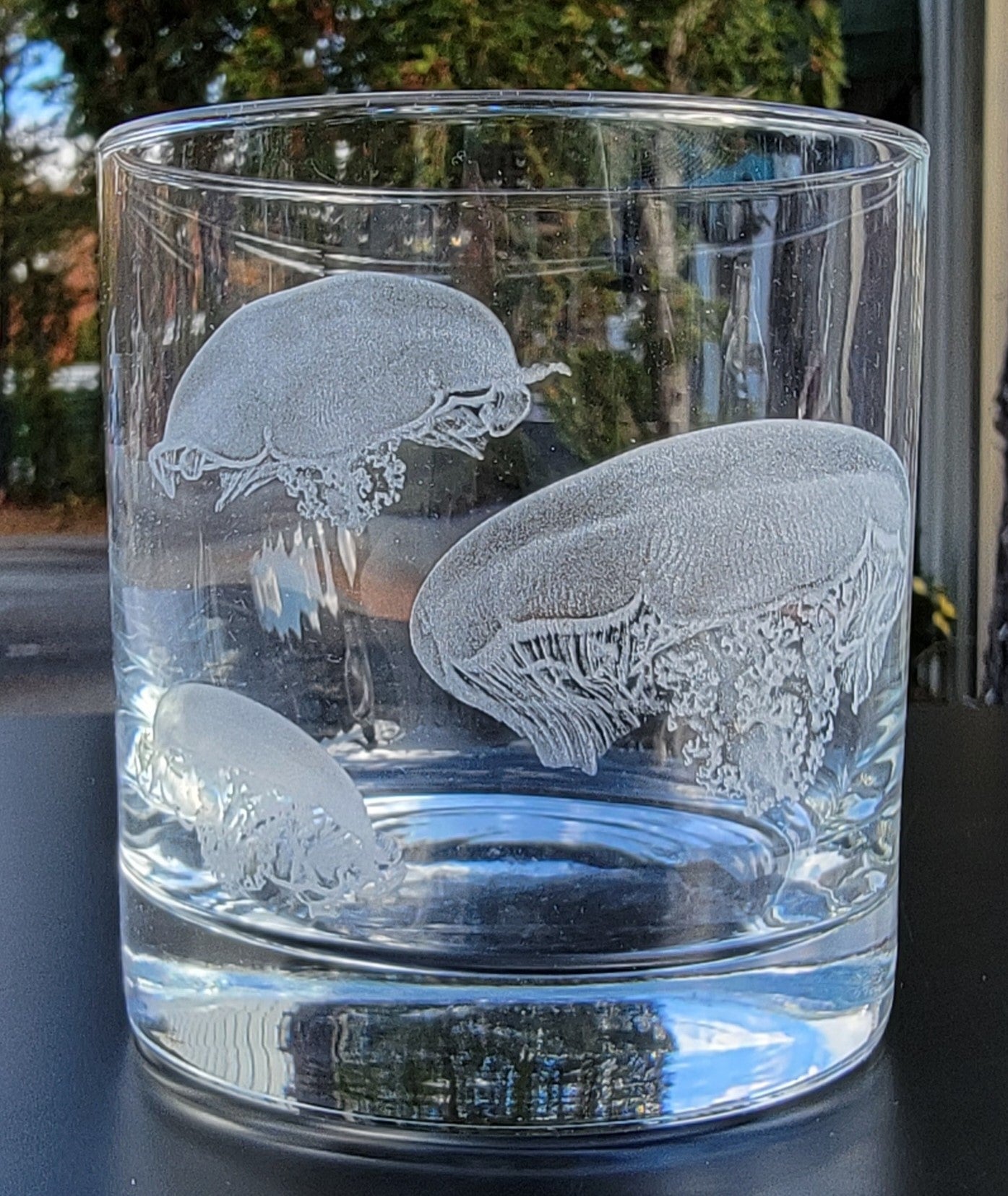 Nautical and Sea life Rocks Glasses set of 2