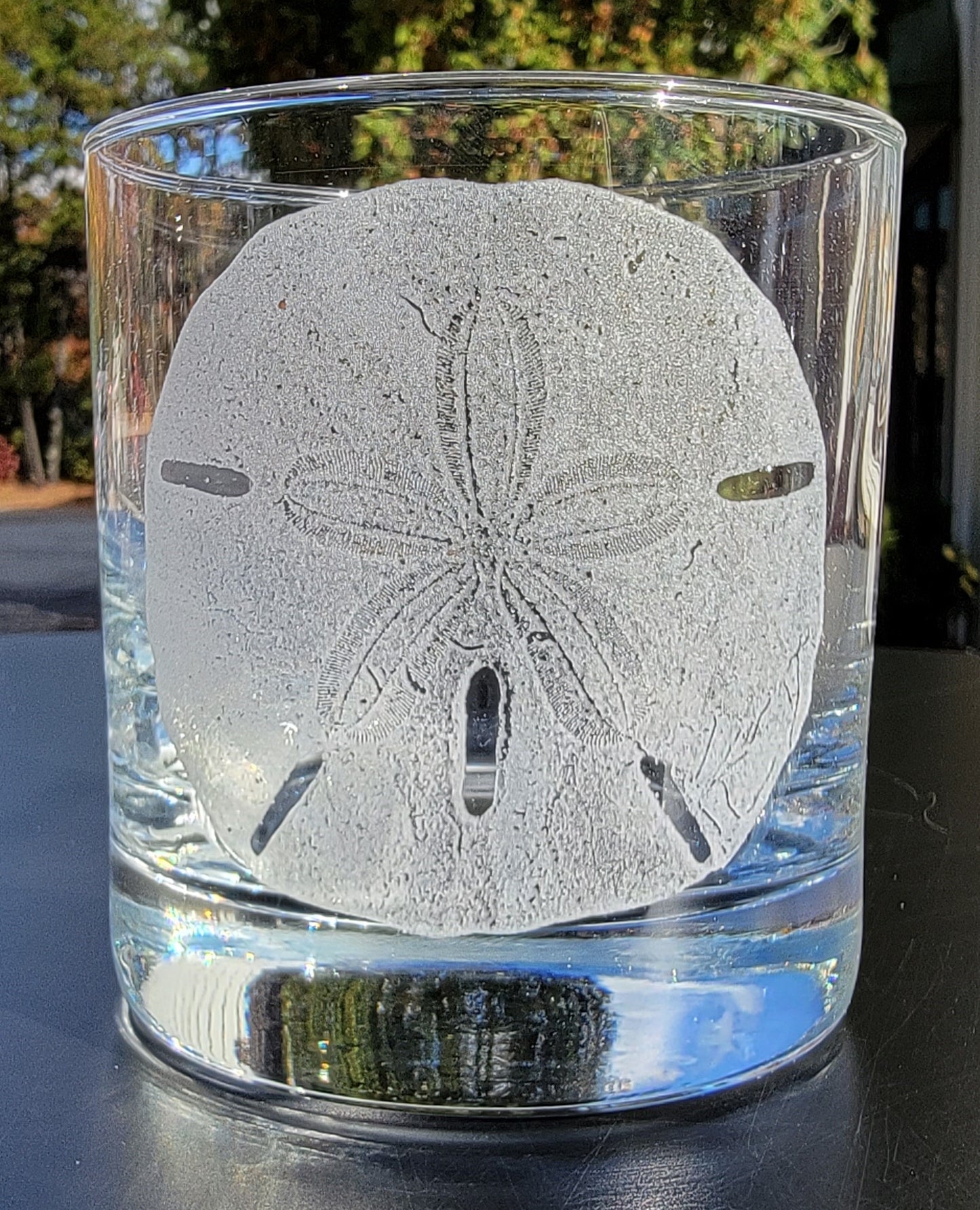 Nautical and Sea life Rocks Glasses set of 2