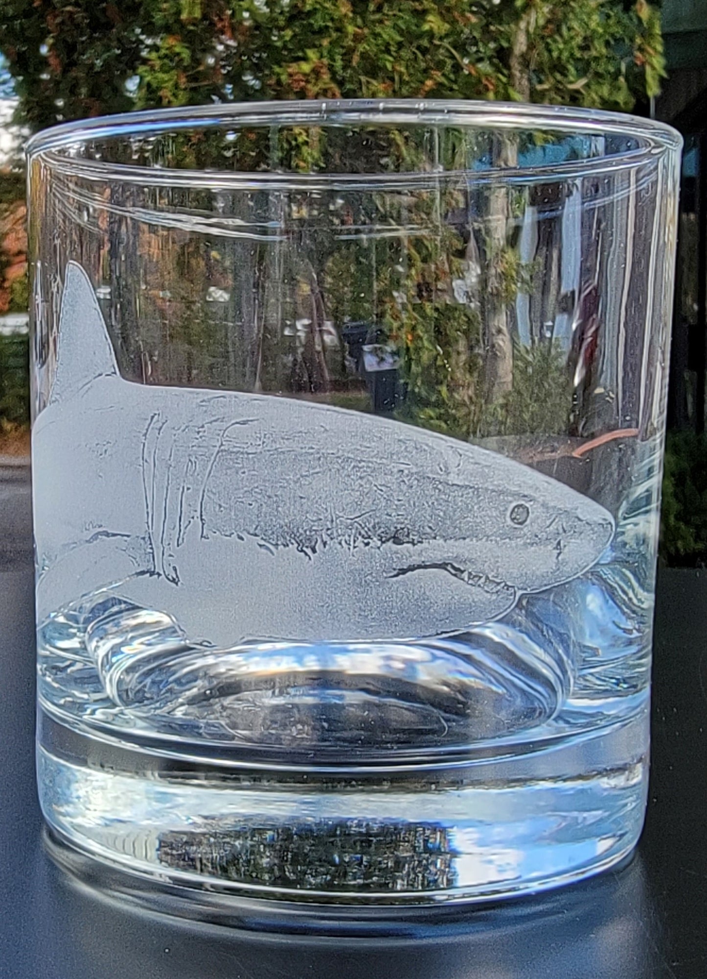 Nautical and Sea life Rocks Glasses set of 2