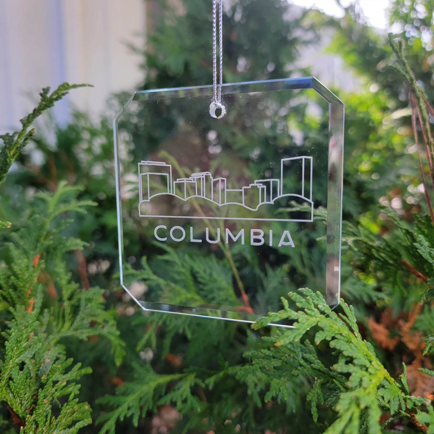 Columbia Skyline Glass Ornaments - Set of 2