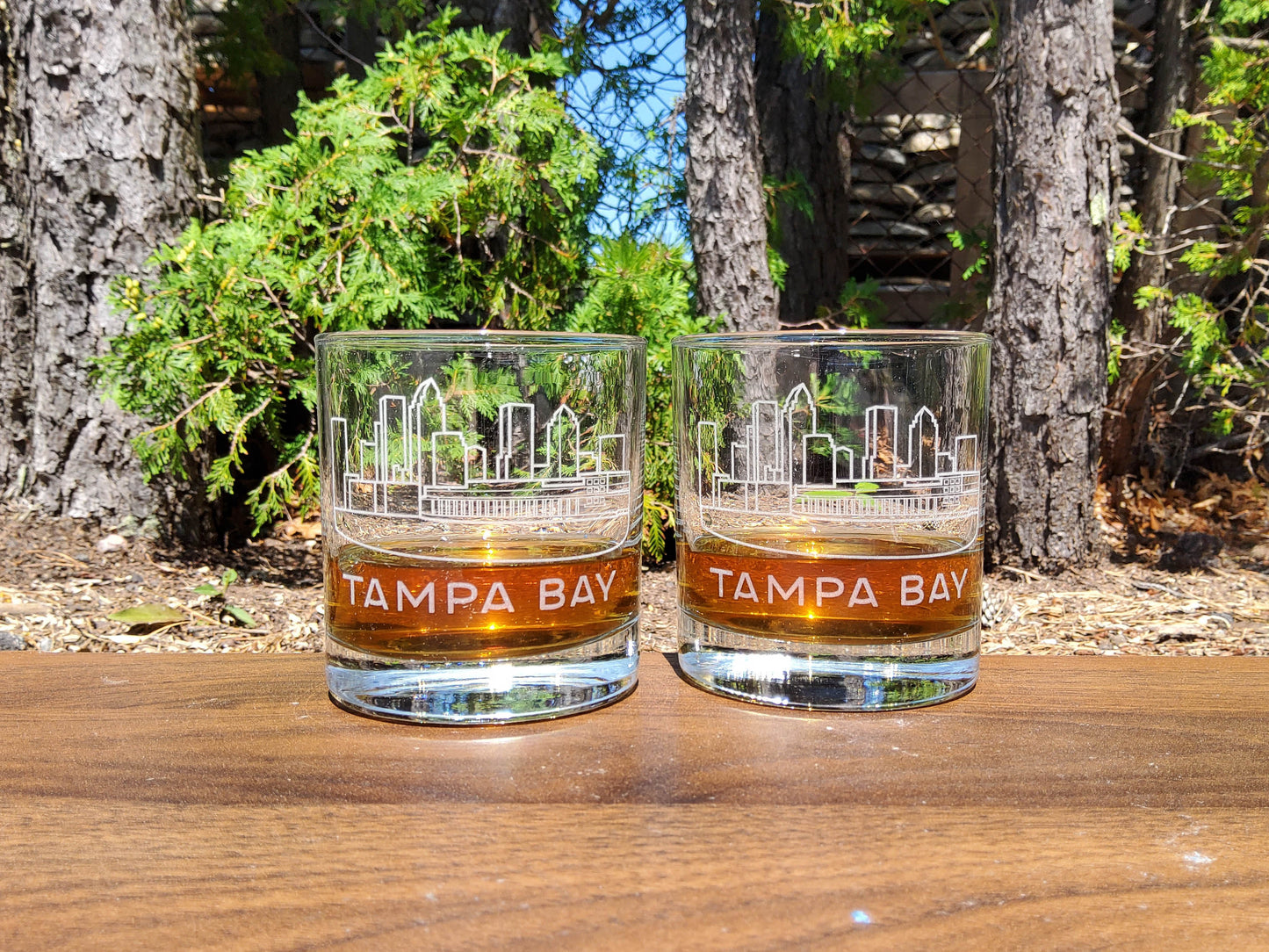 Tampa Bay_Skyline_Rocks