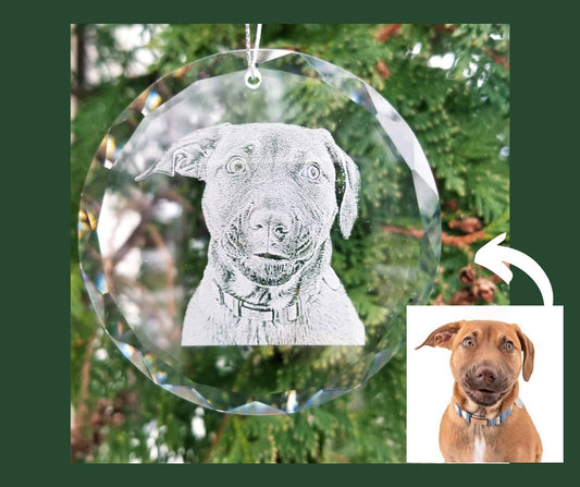 Circle Ornament